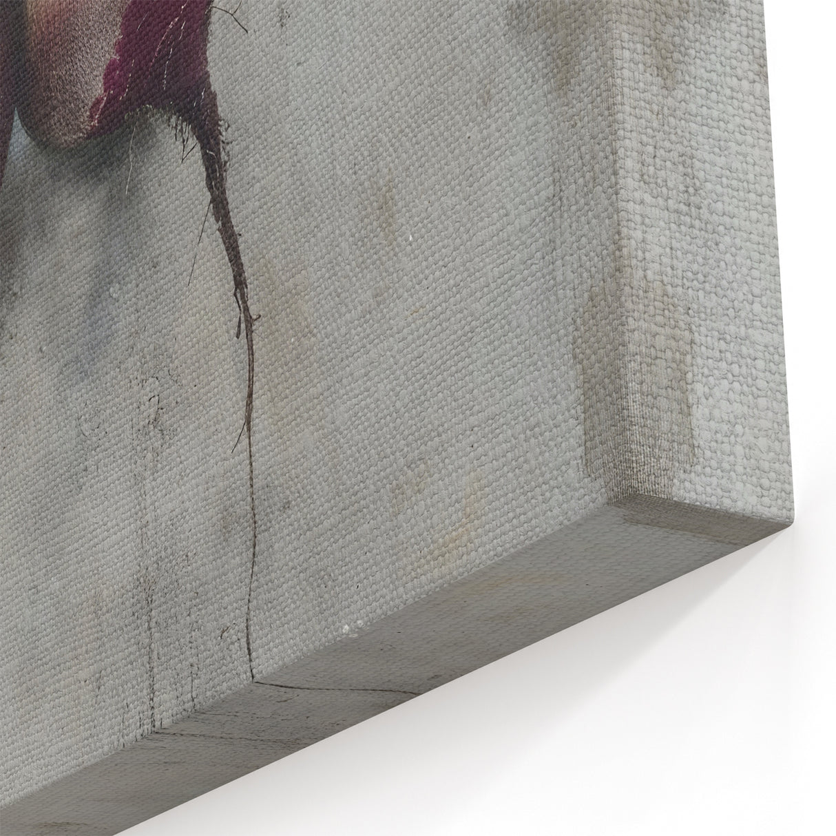 Rustic Beetroot Painting – Fruit Canvas Art for Kitchen Décor