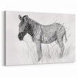 Zebra Illustration Art Print – Detailed Nature-Inspired Animal Decor