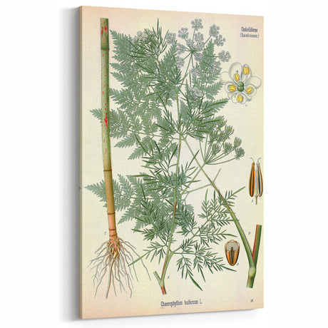 Vintage Botanical Art Prints – White Flowers in Vase Wall Decor