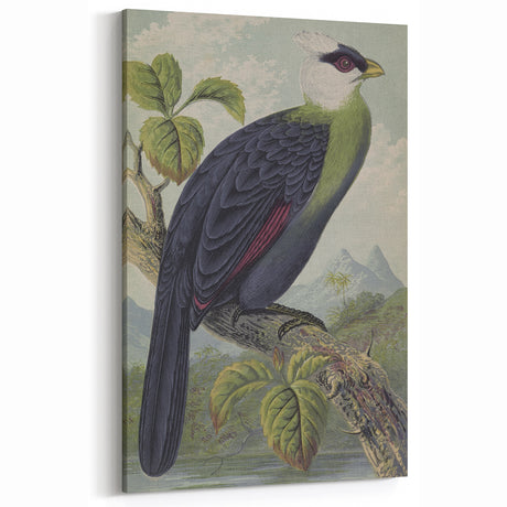 Vintage Animal Art: Exotic Bird Illustration Art Print for Home Decor