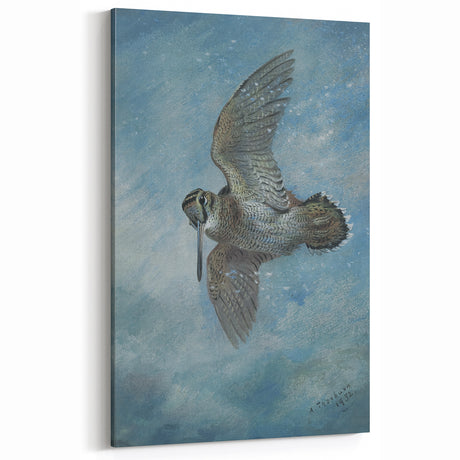 Vintage Animal Art: Bird in Flight Illustration for Home Decor