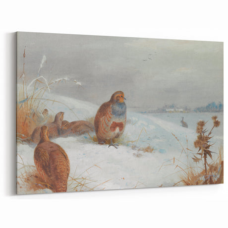 Vintage Animal Art: Winter Birds Illustration Art Print for Decor