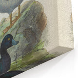 Vintage Animal Art: Duck Illustration Art Print