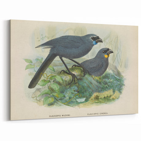 Vintage Animal Art: Bird Illustration Art Print