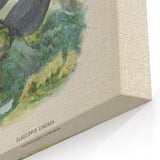 Vintage Animal Art: Bird Illustration Art Print