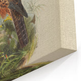Vintage Animal Art: Hawk Illustration Art Print