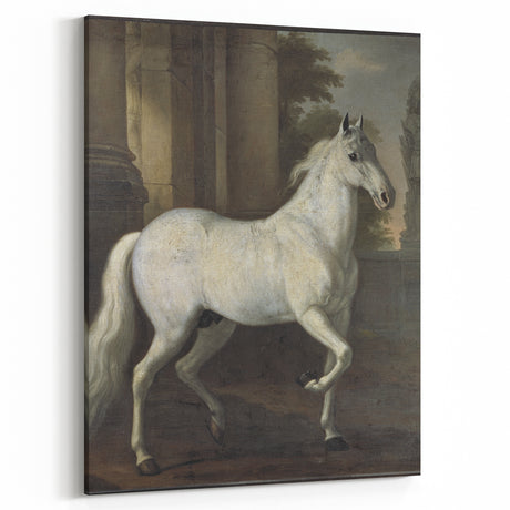 Vintage Animal Art - Classic White Horse Antique Wildlife Prints