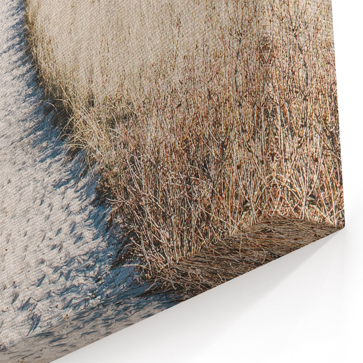 Coastal Dune Pathway - Summer Landscape Art