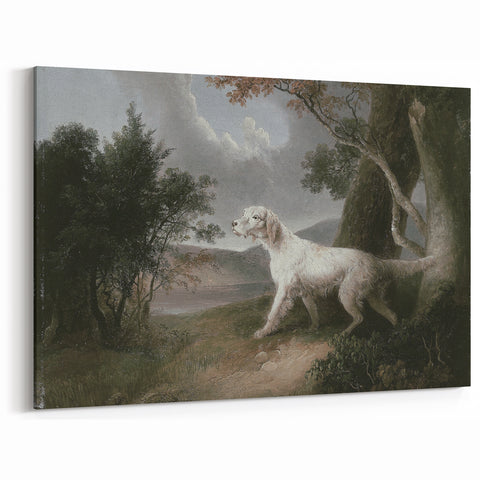 Vintage Animal Art: Dog in Scenic Landscape | Antique Wildlife Prints
