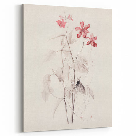 Vintage Botanical Art Print: Delicate Pink Floral Wall Decor