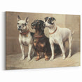 Vintage Animal Art: Trio of Dogs – Retro Wildlife Illustration
