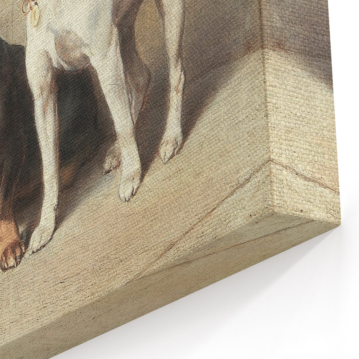 Vintage Animal Art: Trio of Dogs – Retro Wildlife Illustration