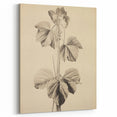 Vintage Botanical Art Print: Elegant Leaf Stem Illustration