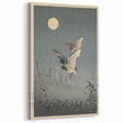 Vintage Animal Art - Ducks in Flight Illustration - Retro Animal Prints