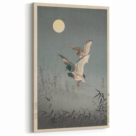 Vintage Animal Art - Ducks in Flight Illustration - Retro Animal Prints