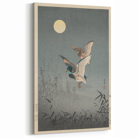 Vintage Animal Art - Ducks in Flight Illustration - Retro Animal Prints