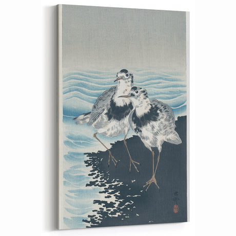 Vintage Animal Art - Shore Birds Illustration - Retro Animal Prints