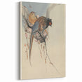 Vintage Animal Art - Birds Perched on Blossom Branch - Retro Animal Prints
