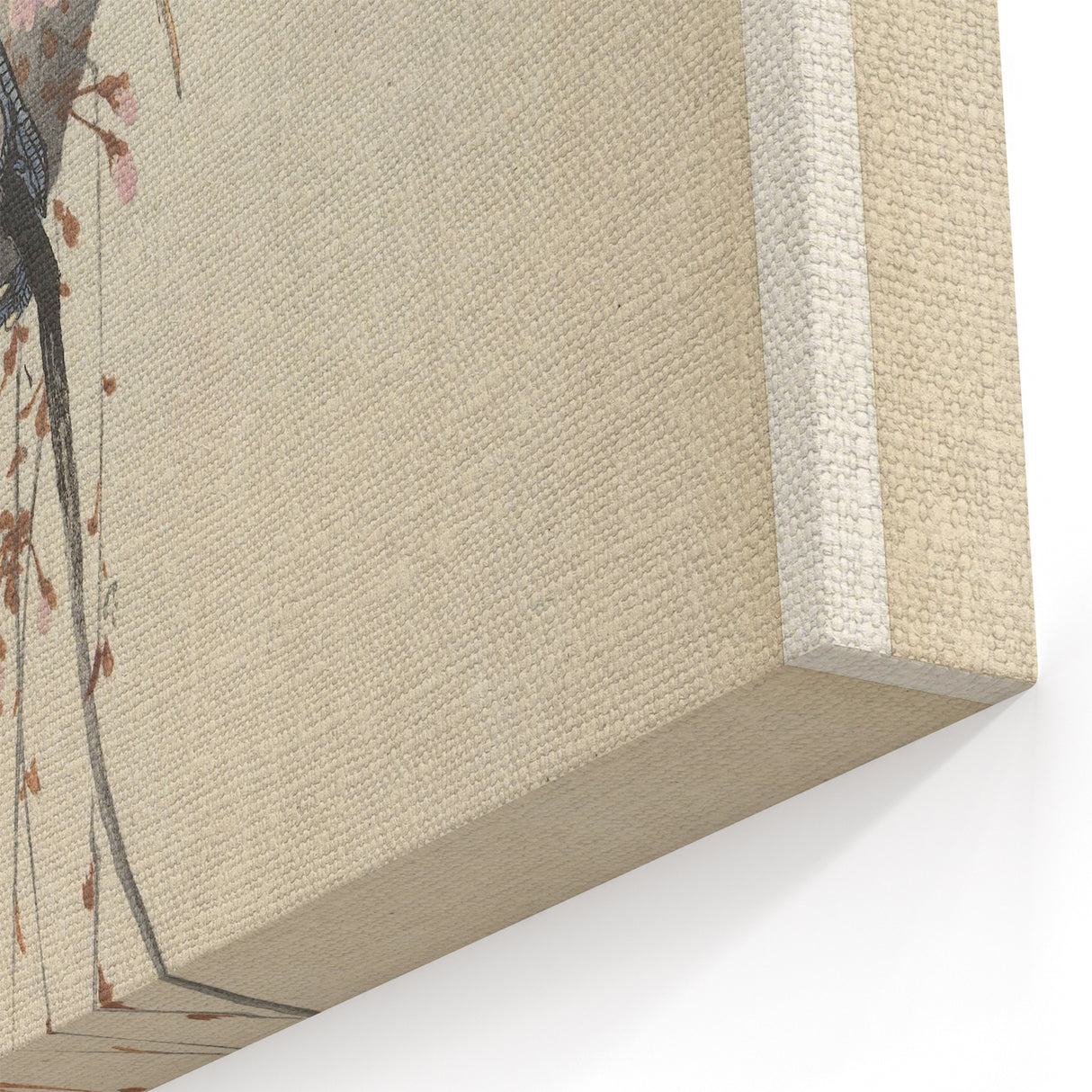 Vintage Animal Art - Birds Perched on Blossom Branch - Retro Animal Prints
