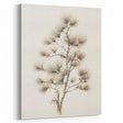 Vintage Botanical Art Prints – Pine Tree Illustration – Elegant Wall Art