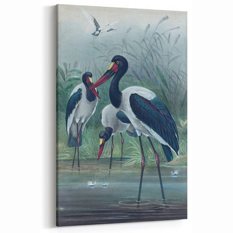 Vintage Animal Art - Storks in Nature - Retro Animal Prints