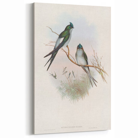 Vintage Animal Art - Colorful Birds on Branch - Retro Animal Prints