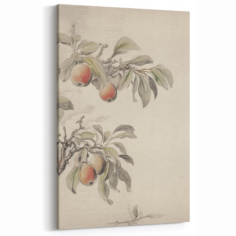 Vintage Botanical Art Print: Peach Branch Illustration in Soft Tones