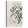 Vintage Botanical Art Print: Detailed Tree Sketch in Graphite Tones