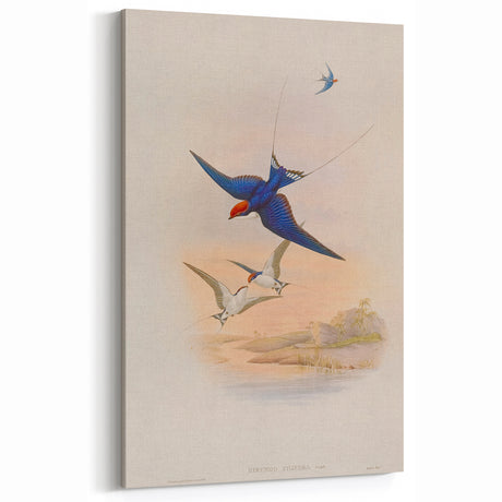 Vintage Animal Art - Swallows in Flight - Retro Animal Prints