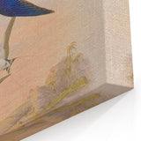 Vintage Animal Art - Swallows in Flight - Retro Animal Prints