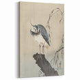 Vintage Animal Art - Perched Bird on Branch - Retro Animal Prints