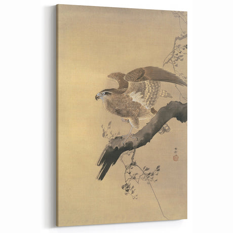 Vintage Animal Art - Hawk on Branch - Retro Animal Prints