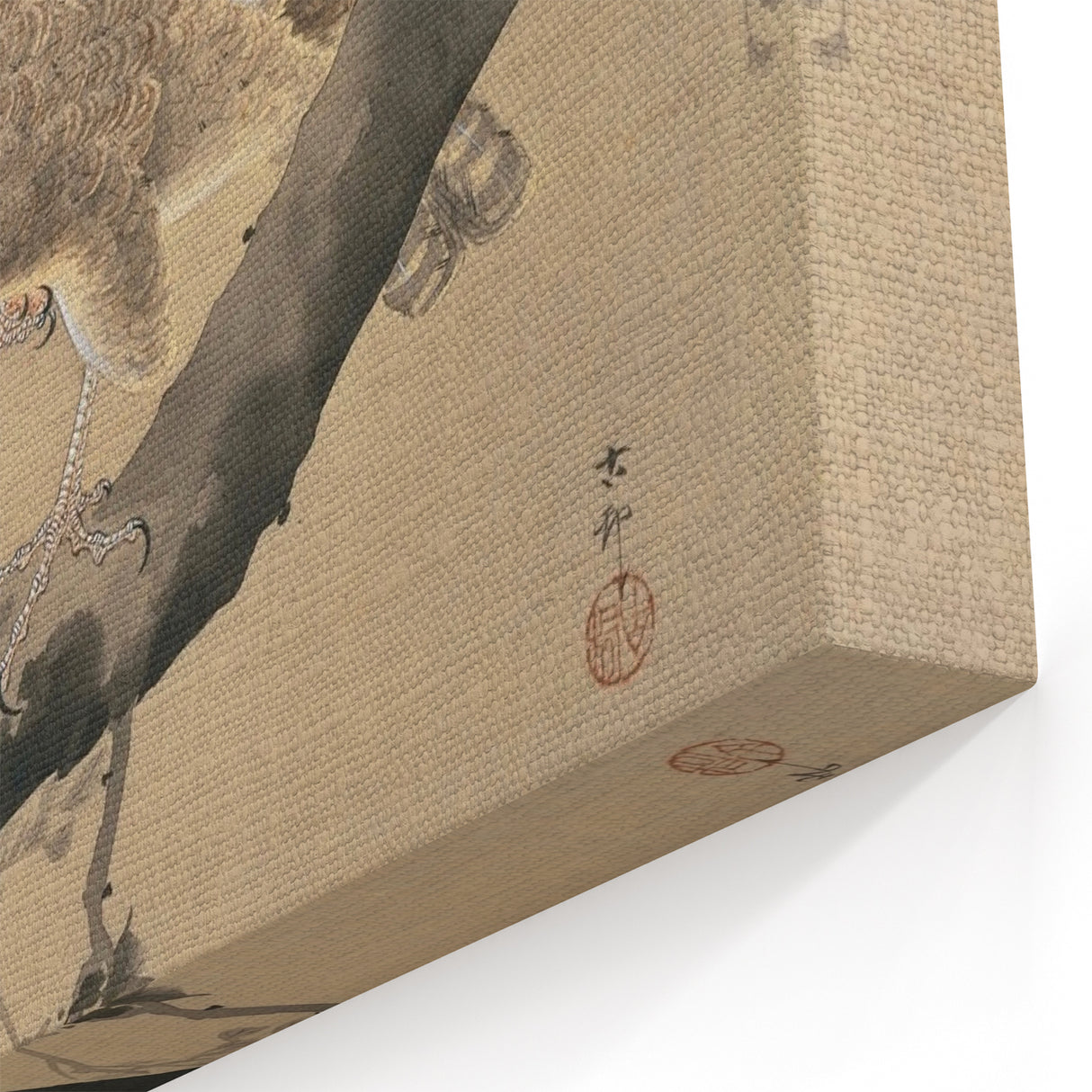 Vintage Animal Art - Hawk on Branch - Retro Animal Prints