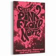 Pink Floyd Retro Poster Art – Vintage Concert Print