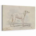 Vintage Animal Art – Handcrafted Dalmatian Dog Illustration