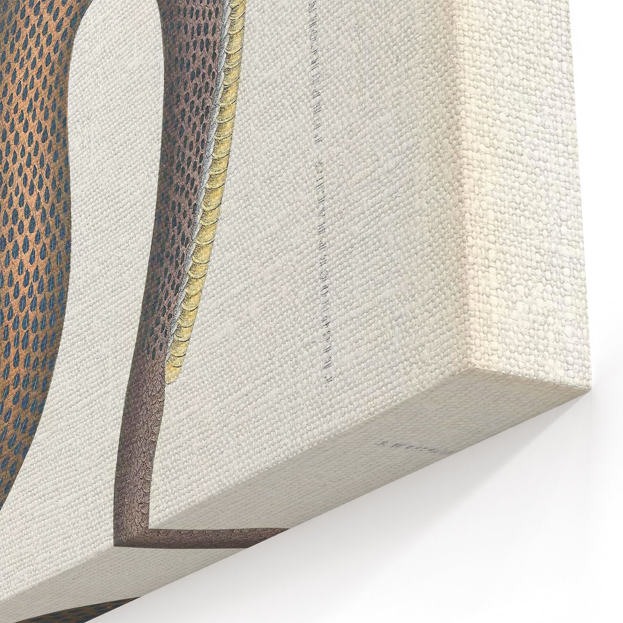 Vintage Animal Art - Retro Snake Illustration Print - Animal Wall Decor