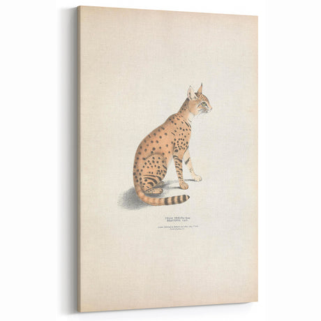 Vintage Animal Art - Retro Cat Illustration for Animal Wall Decor