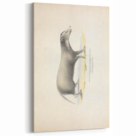 Vintage Animal Art - Retro Cute Bear Illustration for Animal Wall Decor
