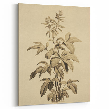 Vintage Botanical Art Prints – Detailed Plant Illustration