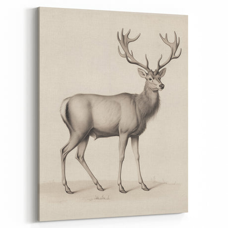Vintage Animal Art: Stag Illustration Wall Decor – Nature-Inspired Art