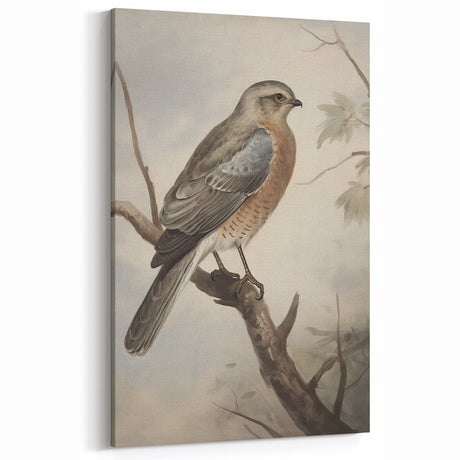 Timeless Vintage Animal Art: Bird Illustration Print for Home