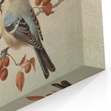 Vintage Animal Art: Birds on Branch Illustration Print