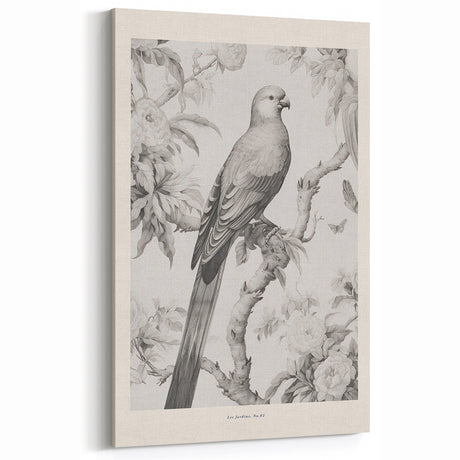 Vintage Animal Art: Intricate Parrot Illustration for Timeless Wall Decor