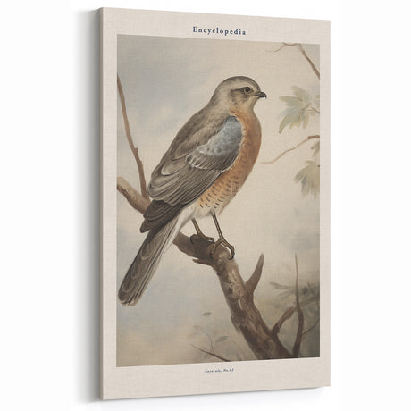 Vintage Animal Art - Realistic Bird Illustration Print for Home Decor