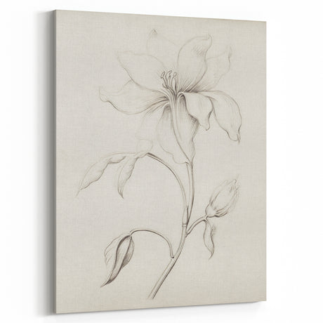 Vintage Botanical Art Prints - Antique Floral Illustration