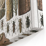 Vintage Insect Art - Detailed Xylophages Insect Illustration Print