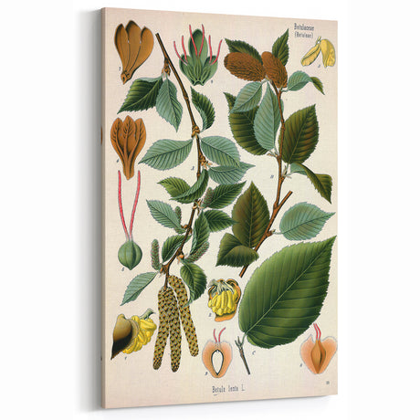 Vintage Botanical Art Prints: Flower Market of Tokyo