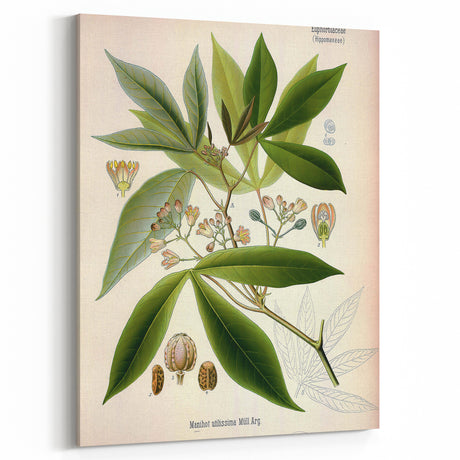 Vintage Botanical Art Prints: Elegant Floral Bouquet