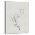 Vintage Botanical Art Prints – Black and White Branch Illustration