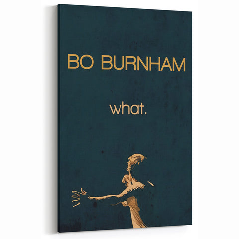 2010s Movie Poster Art - Bo Burnham what. Retro Vintage Film Print